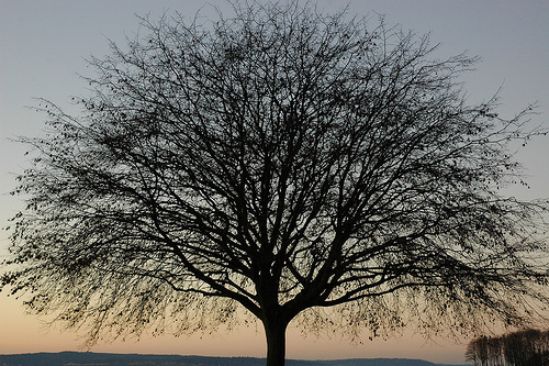 Profit good. Sharing better. Profit good. Sharing better.