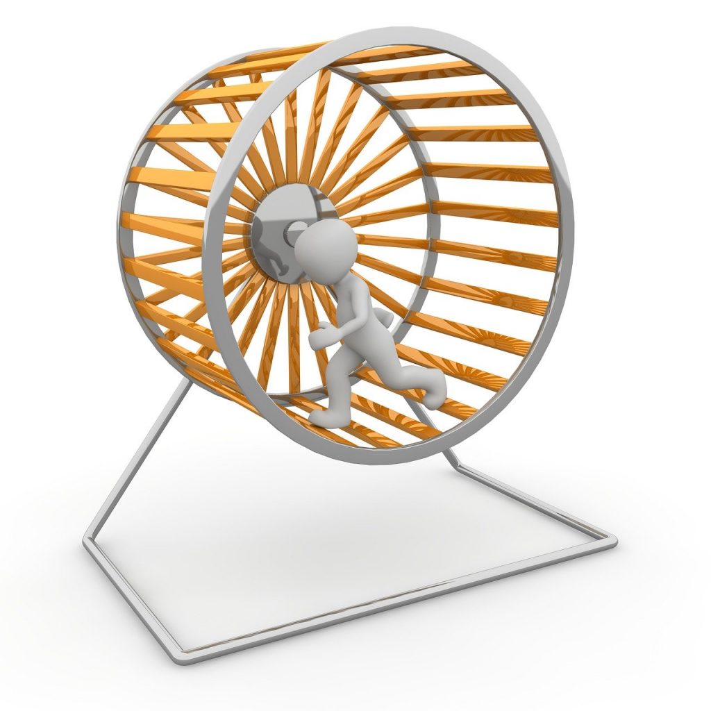 Hamster Wheel Impeller Job District  - Peggy_Marco / Pixabay